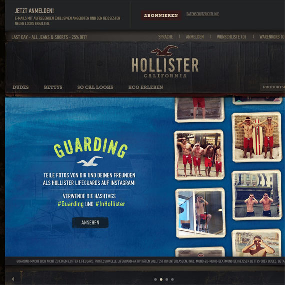 Die Webseite vom de-eu.Hollisterco.com Shop