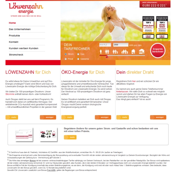 Die Webseite vom Loewenzahn-Energie.de Shop
